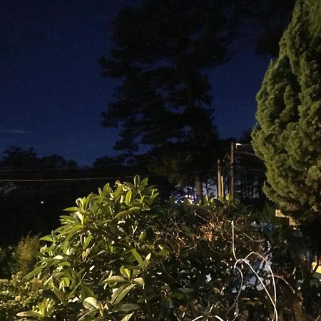 Windy House 호텔 달랏 외부 사진