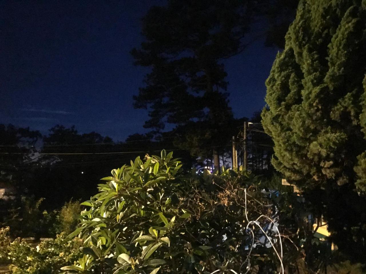 Windy House 호텔 달랏 외부 사진